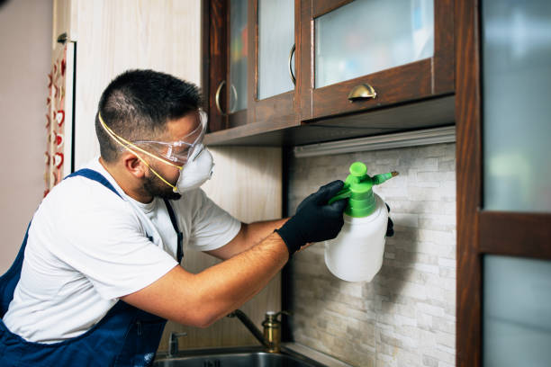 Best Local Pest Control Services  in Estes Park, CO