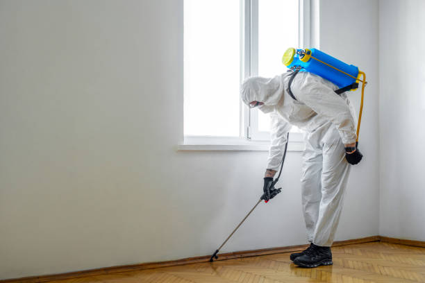 Best Best Pest Control Companies  in Estes Park, CO