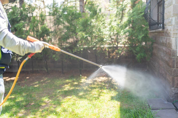 Pest Control for Restaurants in Estes Park, CO