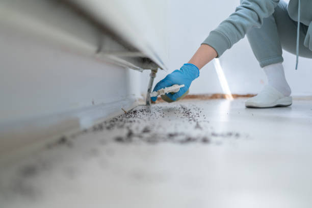 Best Cockroach Control Services  in Estes Park, CO